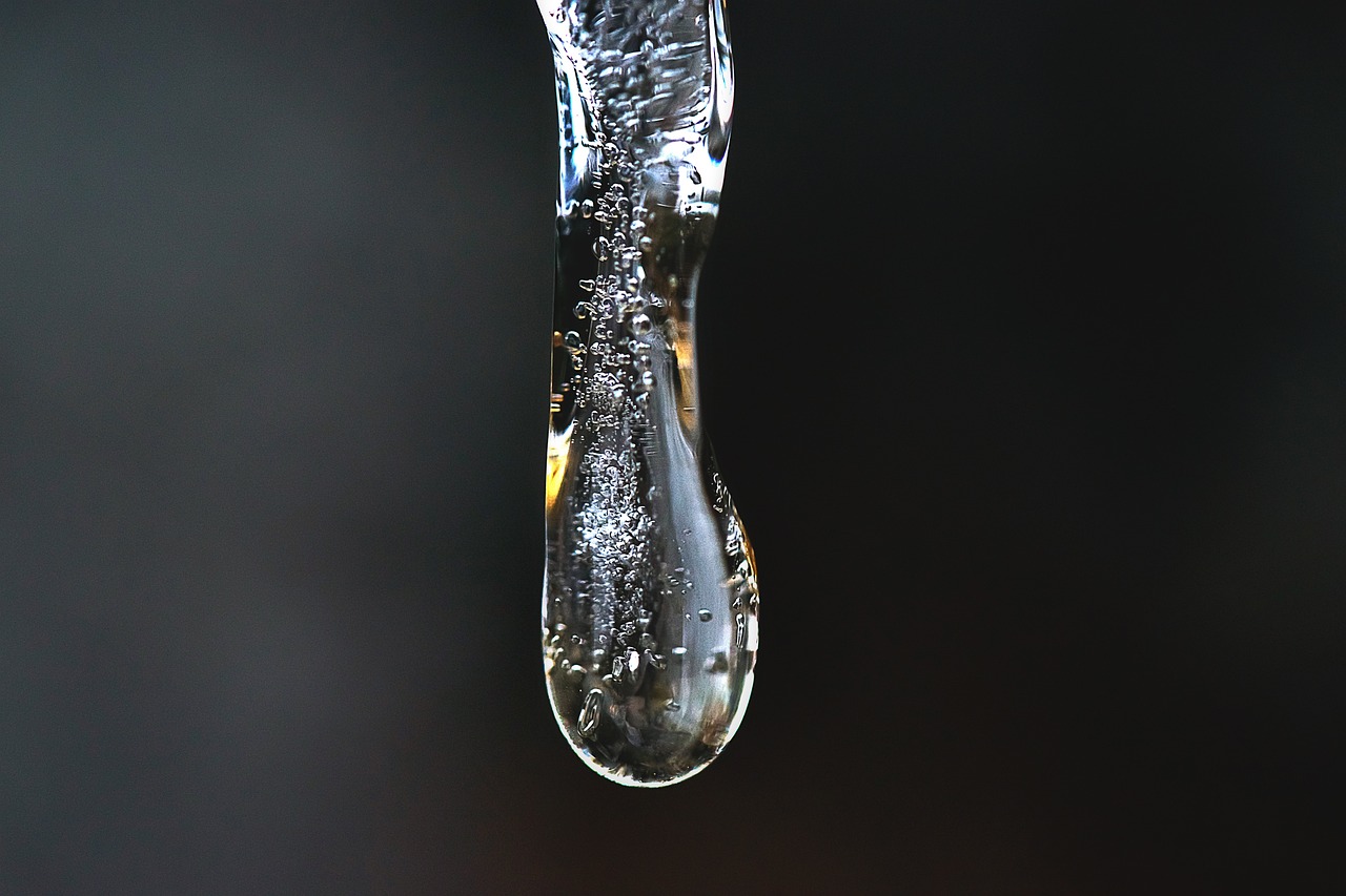 The Role of Water in Everyday Life - A Scientific Perspective